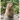 Sik-Sik's Summer: An Arctic Ground Squirrel Tale