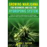 growing marijuana for beginners and use the hydroponic system: how to grow marijuana by improving quantity and quality even in small spaces