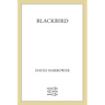 Blackbird