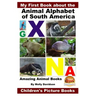 My First Book about the Animal Alphabet of South America - Amazing Animal Books - Children's Picture Books