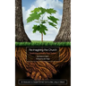Re-Imagining the Church: Developing a Healthy Root System: An Introduction to Gospel-Formed Communities Living on Mission