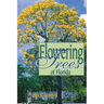 Flowering Trees of Florida