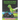 Monster Truck, Dinosaurs, and Dump Trucks Coloring Book for Kids Ages 4-8: Cute and Fun Monster Truck, Dinosaur and Dump Truck Coloring Book for Kids