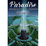 Paradise: Sides Of The North And The Mount Of Congregation