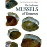 Freshwater Mussels of Tennessee