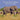 If You Go To Africa
