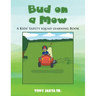 Bud on a Mow: A Kids' Safety Squad Learning Book