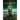Scrutator