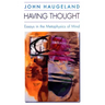 Having Thought: Essays in the Metaphysics of Mind