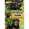 Rottweiler Training: Your Guide to Raising This Loyal Breed: How To Raise A Rottweiler?