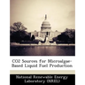 Co2 Sources for Microalgae-Based Liquid Fuel Production