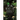 How Does It Feel?