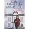Two days in the life of a boy called Te-pet: The story of the boy from Chezzetcook who broke all the windows of the school
