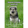 Romanian Carpathian Shepherd Dog: A Large Breed of Livestock Guardian Dogs That Originated in The Carpathian Mountains: What You Should Know About Rom