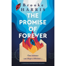 The Promise of Forever: A completely heartbreaking Irish novel