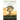 Eco Bible: Volume 1: An Ecological Commentary on Genesis and Exodus
