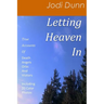 Letting Heaven In: True Accounts Of: Death Angels Orbs And Visitors Including 20 Color Photos