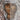 Byzantine Aegina: Faces of the Mother of God