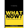 What Now?: Living in a world without jobs
