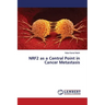 NRF2 as a Central Point in Cancer Metastasis