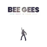 Bee Gees: How Deep Is Your Love