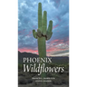 Phoenix Wildflowers: A Field Guide to the Common Shrubs, Herbs, Cacti and Ferns of the Phoenix Region