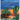 Under the Desert Skies: The Stinky, Curious, and Disgusting