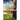 A Flight of Arrows