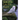 Birds of the Lake Erie Region