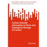 Carbon Dioxide Adsorption in Rock and Geological Storage of Carbon