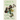 Green Frog: Stories
