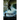 Nobody's Ghost