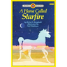 A Horse Called Starfire: Level 3