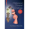 Mathematical Olympiad Challenges