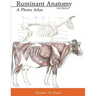 Ruminant Anatomy: A Photo Atlas