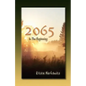 2065 in the Beginning