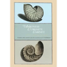 The Ambonese Curiosity Cabinet