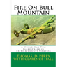 Fire On Bull Mountain: A World War Two Plane Crash in Patrick County Virginia