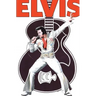Rock and Roll Comics: Elvis Presley Experience: Special Hard Cover Edition