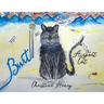 Burt: The Airport Cat