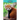 Red Pandas