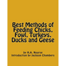 Best Methods of Feeding Chicks, Fowl, Turkeys, Ducks and Geese