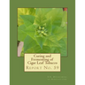 Curing and Fermenting of Cigar Leaf Tobacco: Report No. 59
