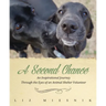 A Second Chance: An Inspirational Journey through the Eyes of an Animal Shelter Volunteer