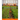 Companion Planting: Vegetable gardening guide for keeping ypur organic garden healthy like an expert. Create your edible landscape of a fe