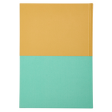 My Big Feelings Journal: Discovering and Mastering Emotions (Ochre-Mint) by Promptly Journals