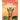 Giraffe Coloring Book: Gorgeous Coloring Book for Adults and Kids (Girls And Boys )