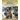 A Pack of Wolves: And Other Canine Groups