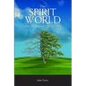 The Spirit World from a Christian Perspective