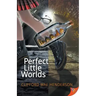 Perfect Little Worlds